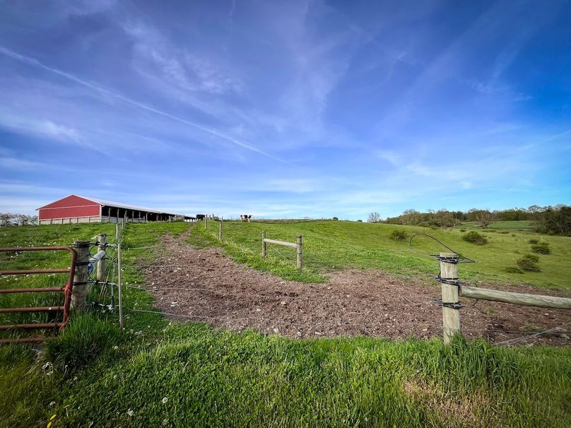 Tioga_116.52_Moore_Photo_24