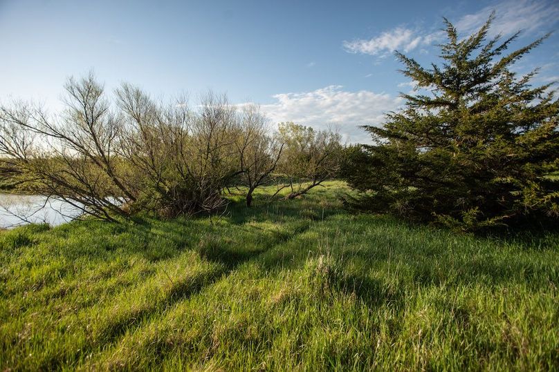 MONTGOMERY CO IA. 156.78_43