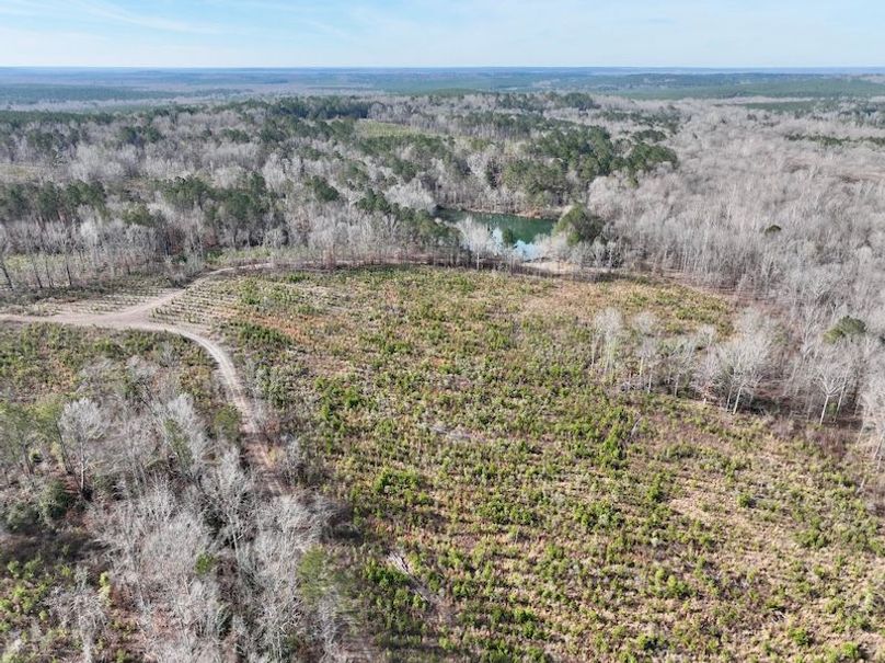 dji_fly_20260120_111544_168_1768926651810_photo