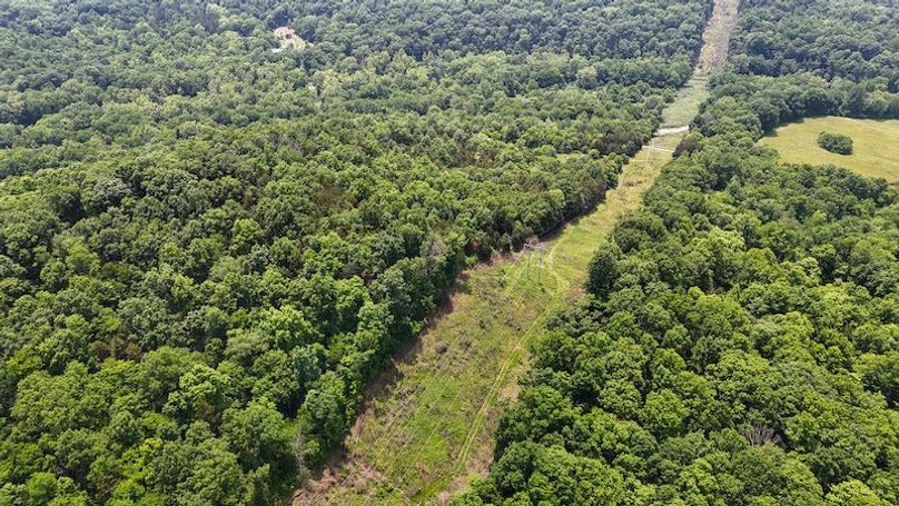 DJI_20250604133000_0019_D