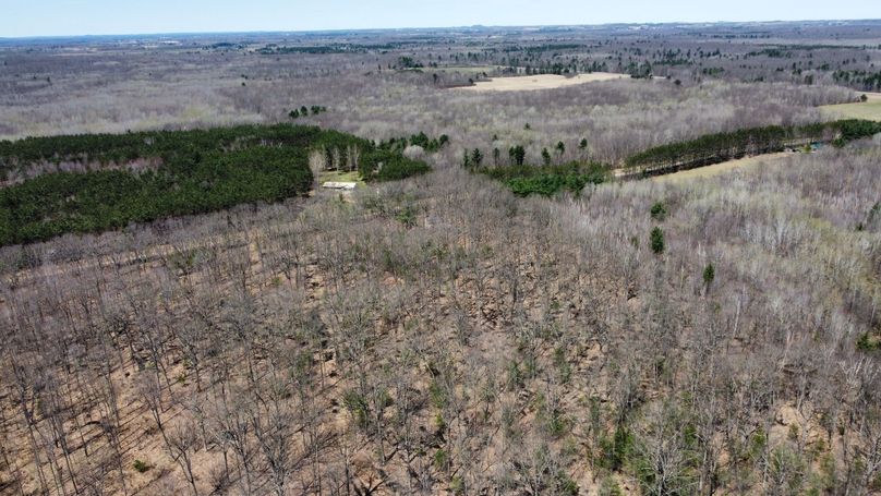 dji_fly_20230503_115544_363_1683230739823_photo_optimized