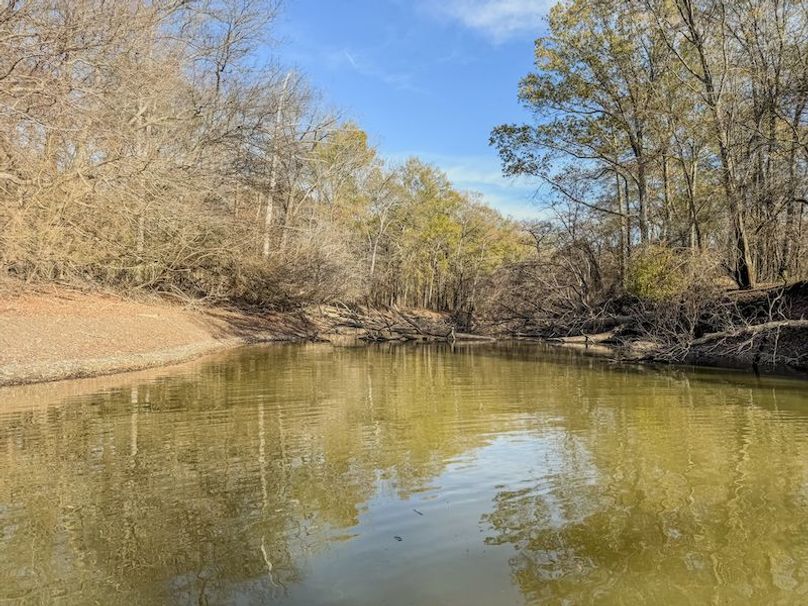 St. Francis 216.9 Calvin Parker Farms Profile -31