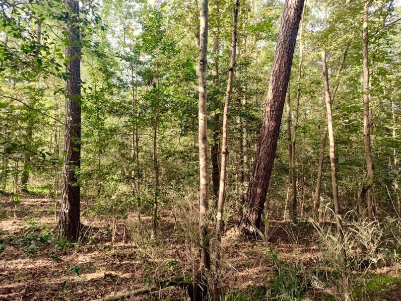 IMG_20250914_172404231_HDR