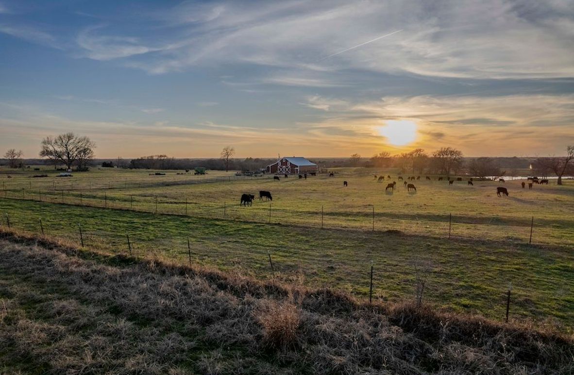 Fannin County- Pecan Ridge (3 of 53)