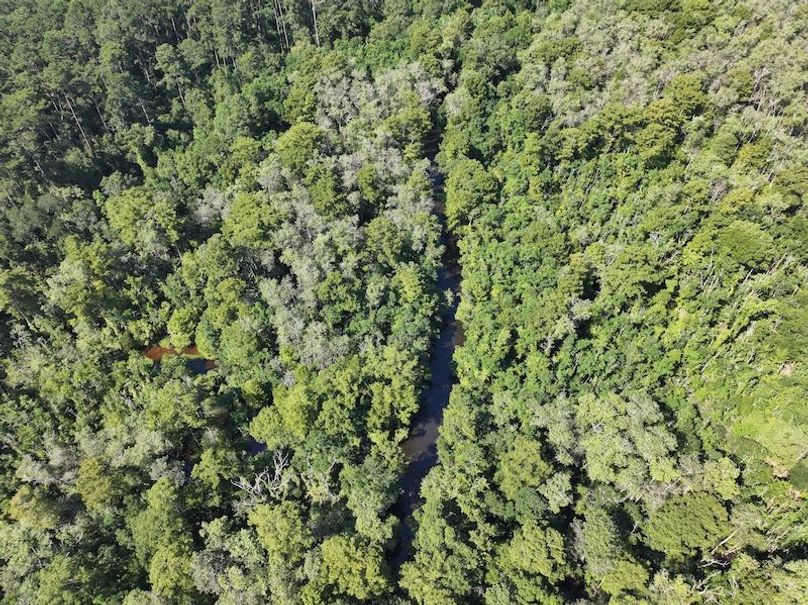 dji_fly_20250826_104150_0373_1756227537547_photo