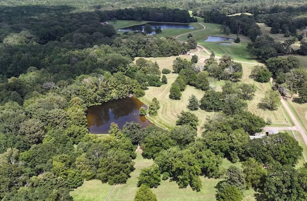 Hinds - 25.48 - Hank Beasley-3