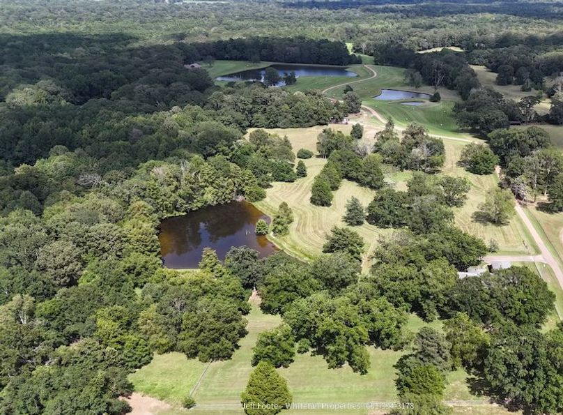 Hinds - 25.48 - Hank Beasley-3