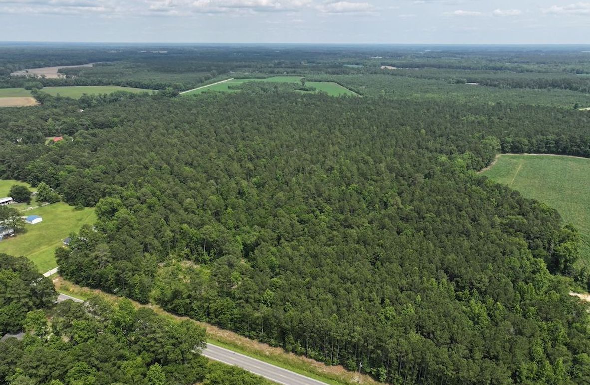 DJI_20250604141812_0084_D