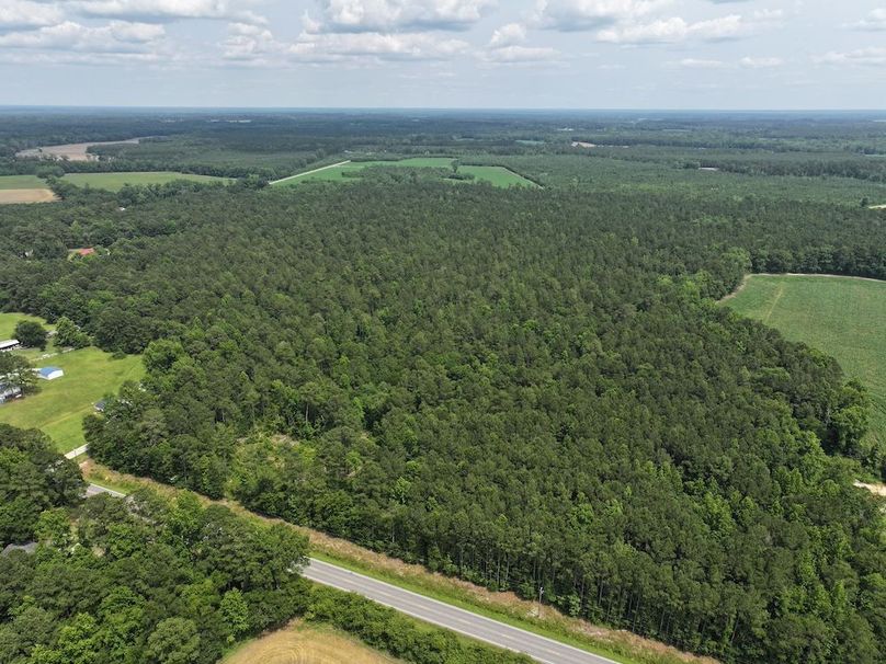 DJI_20250604141812_0084_D