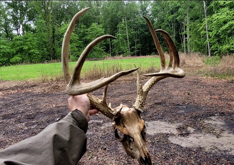 26.48ac_McKenneyLn_QAnnes_45