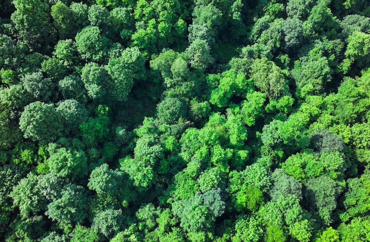 Fayette, 20, Schrum-05