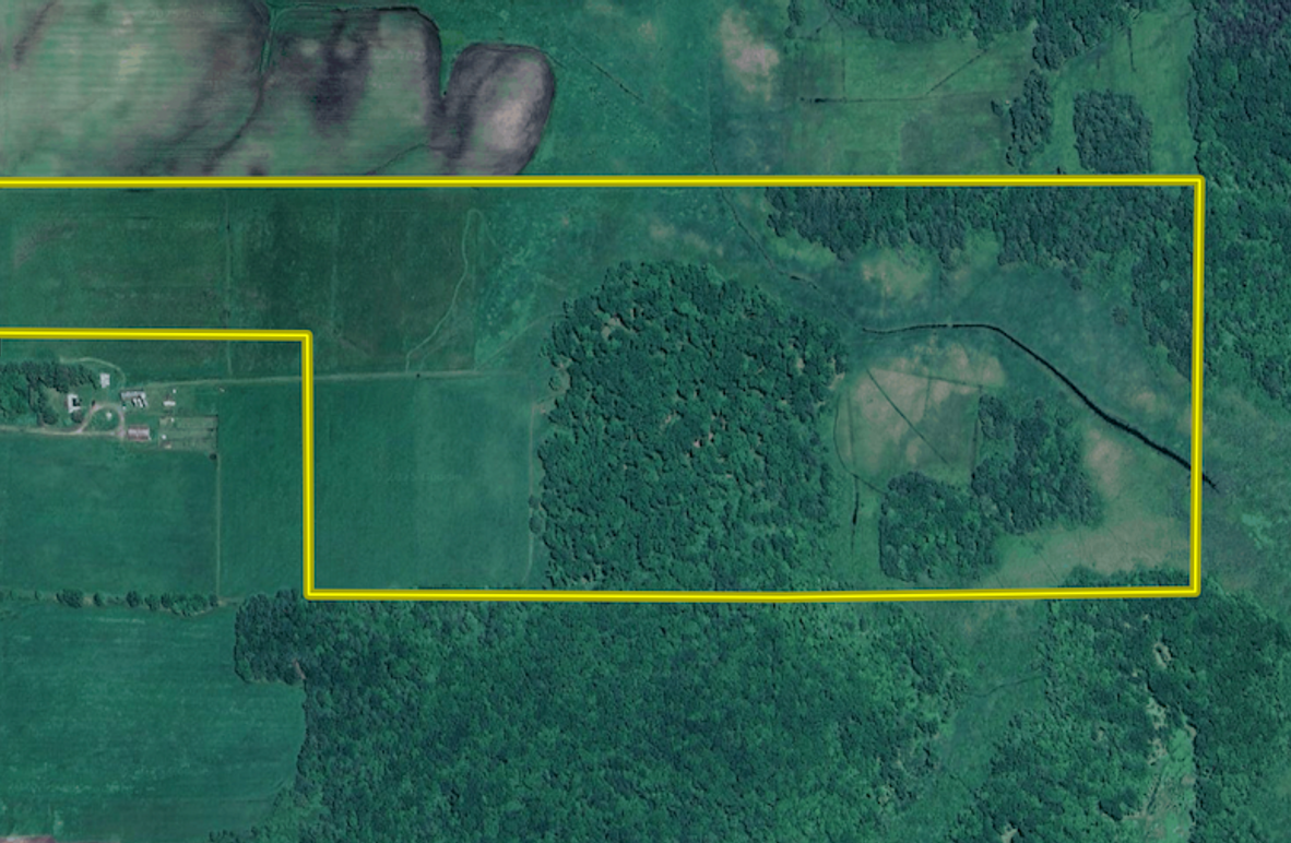 Screenshot 2025-07-30 at 2.55.16 PM