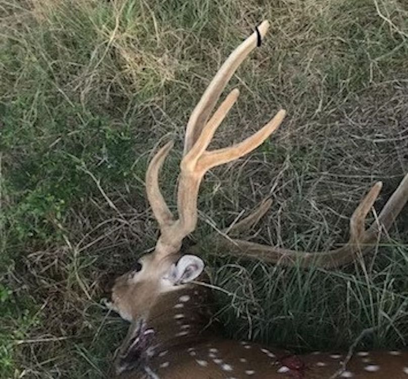 78.