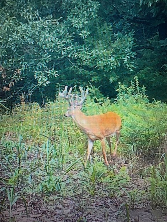 1C45039B-C14F-43F0-B223-19DC293E7276