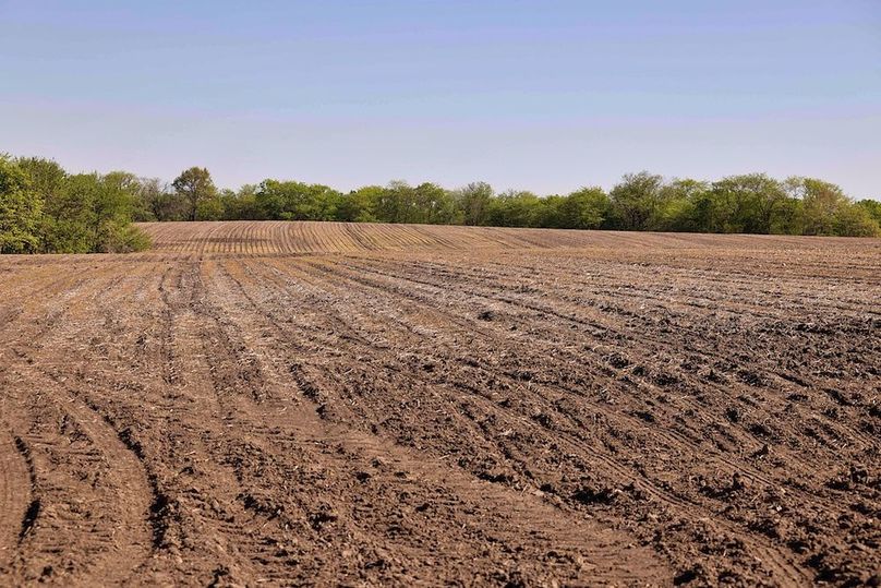 E0E1A4206 (33)