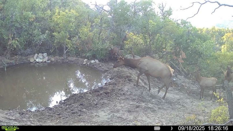 016578004083249-83-2-09182025182616-V-SYFW00251