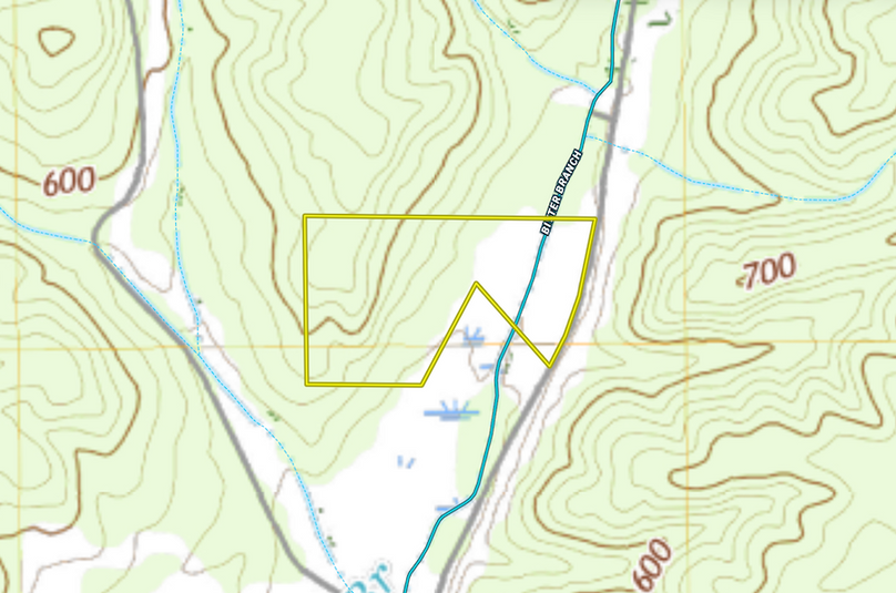 Screenshot 2024-03-14 at 8.25.01 AM