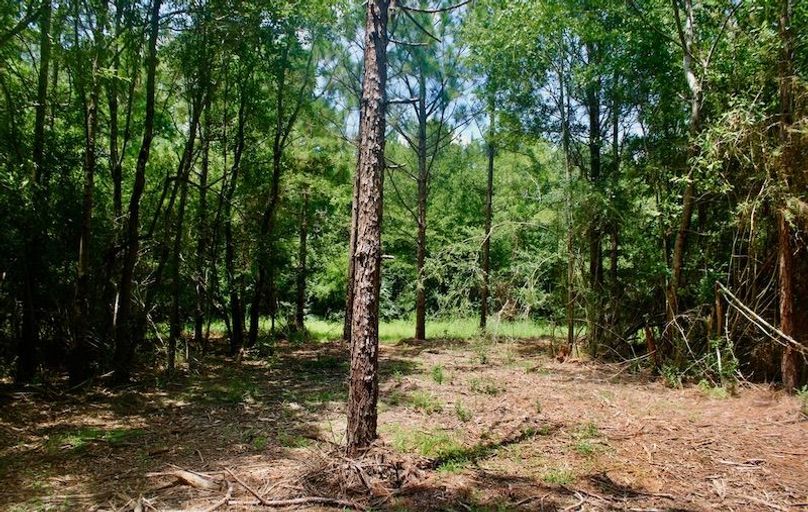 5C326D5D-CB2D-4138-A7C0-050F14AF7B5E_1_105_c