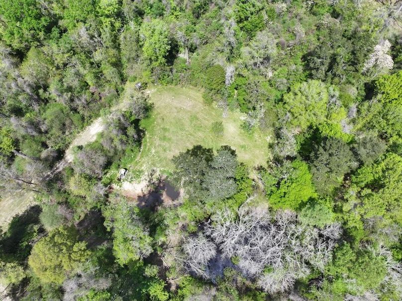dji_fly_20260327_121552_0019_1776088032688_photo