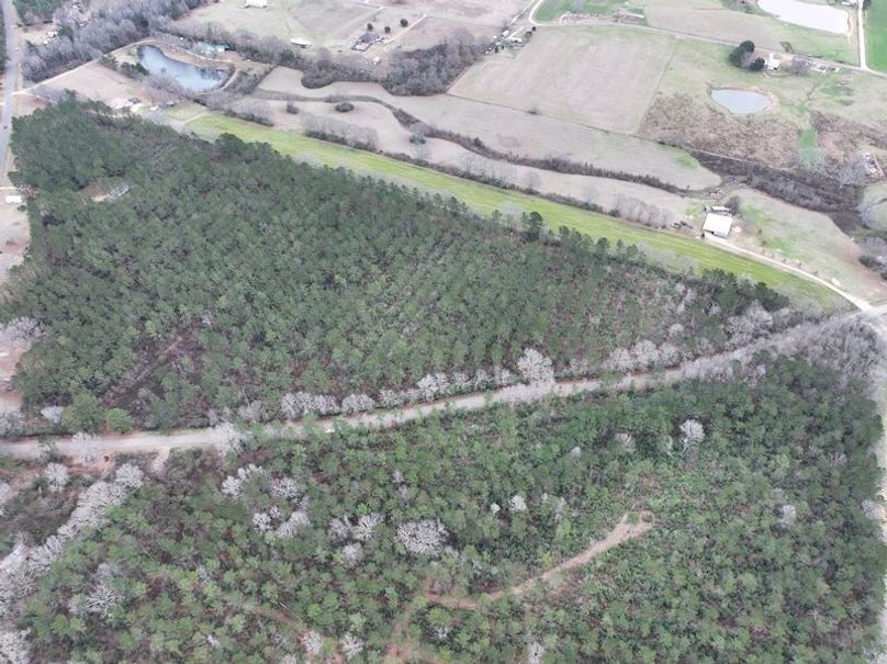 dji_fly_20260217_132806_0115_1771436923074_photo