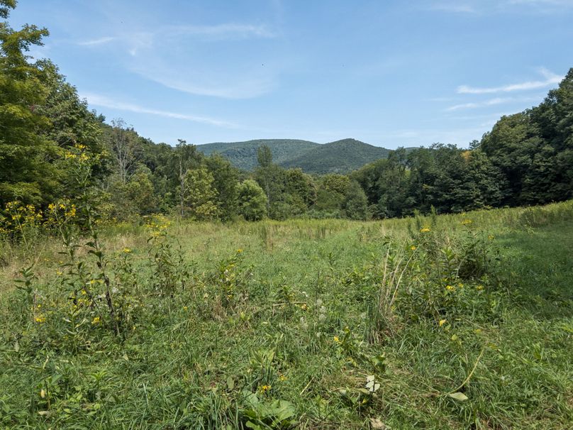 08_36.85_Pocahontas_WV