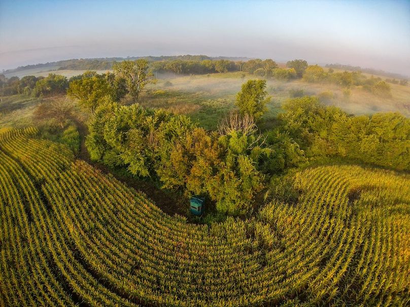 DJI_20250906073124_0037_D