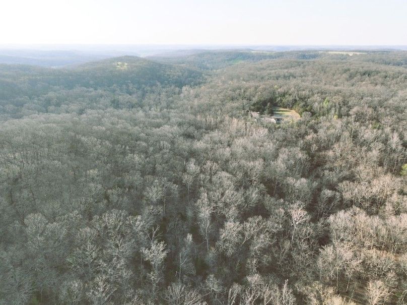 dji_fly_20260330_081316_547_1774914489098_photo