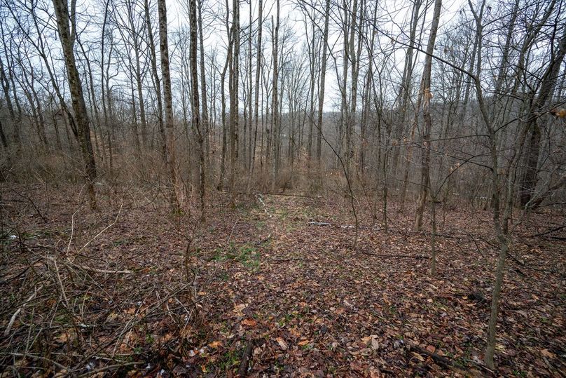 Copy of DSC_4541-Edit Large