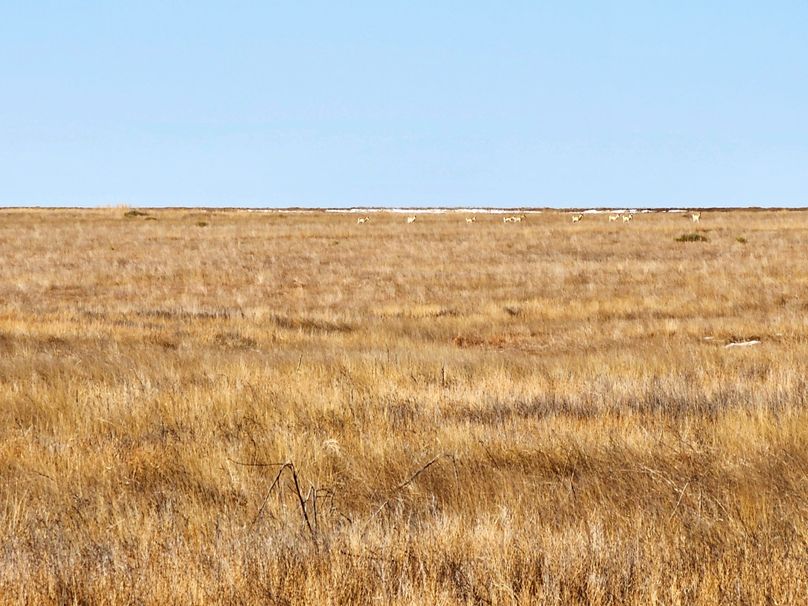 Copy of 20230208_085943