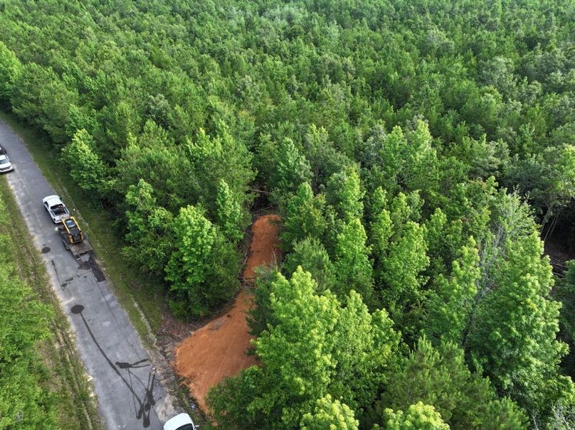 dji_fly_20250612_080024_0079_1750261393433_photo