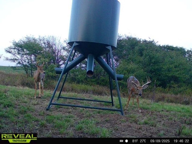 865977050266538-100-4-09092025194622-W1007608