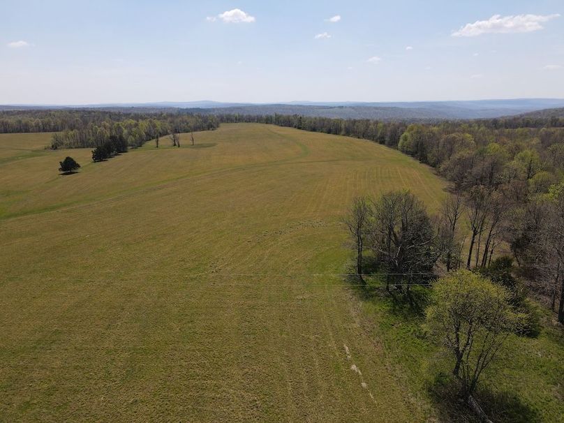 dji_fly_20260408_131910_432_1775672369360_photo