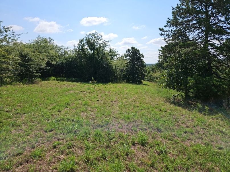 DJI_20240808_101643_125