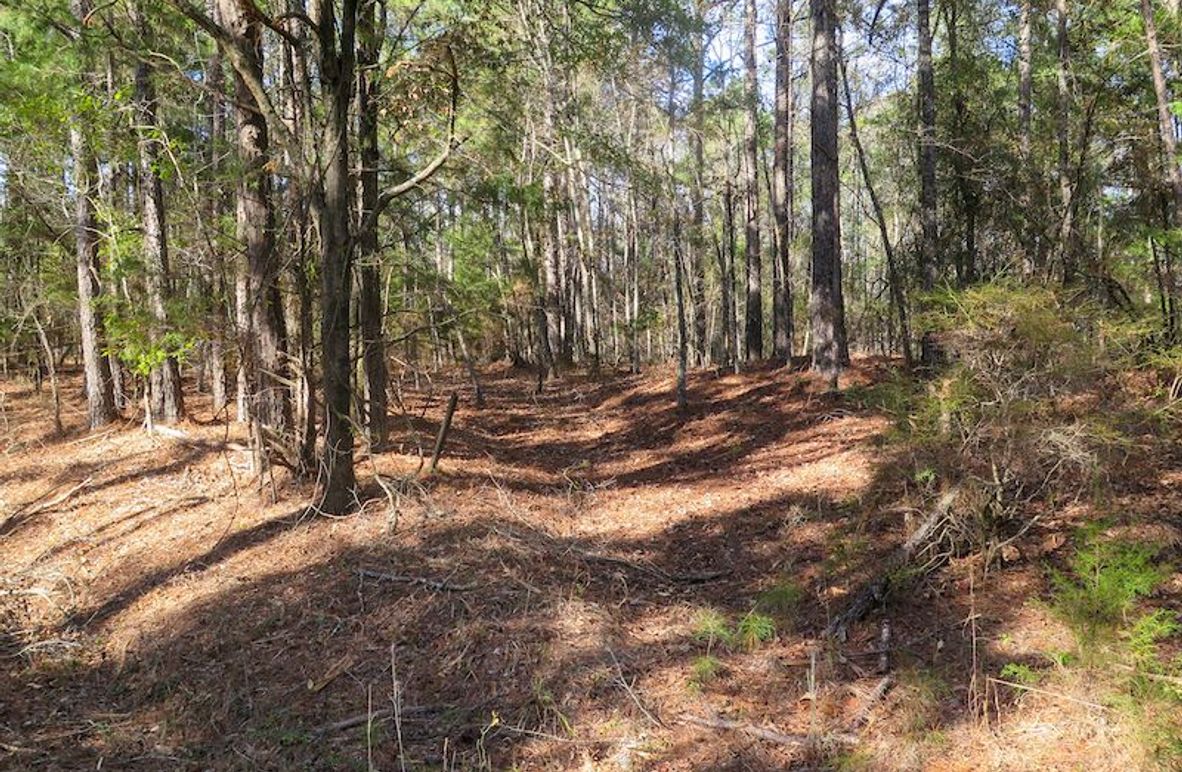 Lauderdale Co - 74 - Gillentine-02