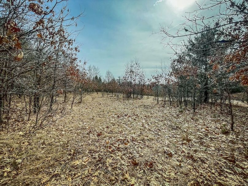 Adams 10.06 Johnson-23