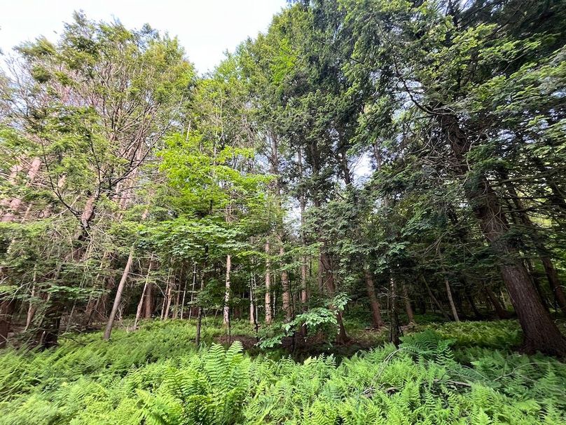 Jefferson_260.3_ Lobach_Photos_70