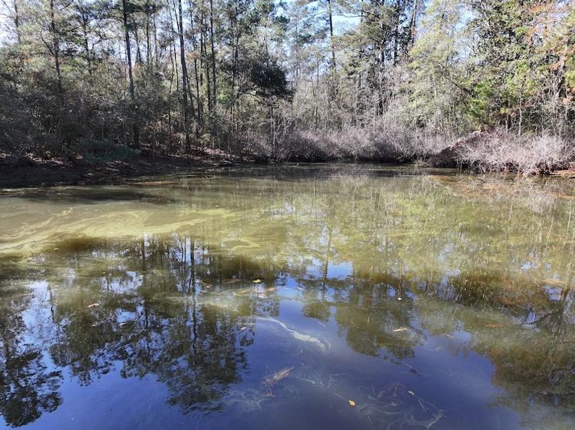 dji_fly_20251209_122542_0776_1765308494381_photo