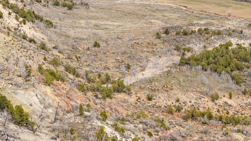 DJI_20260305134038_0266_D