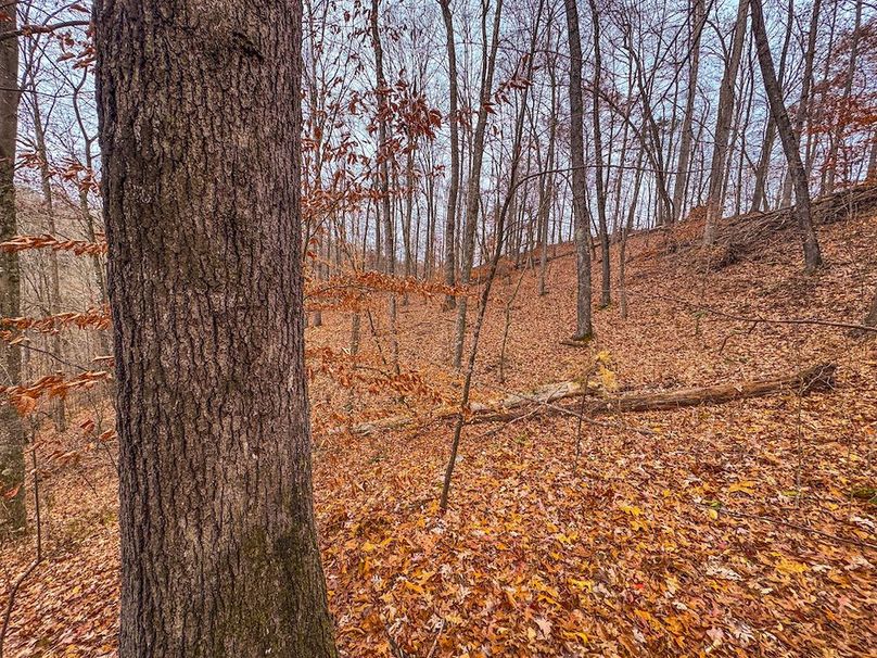 Ritchie, WV 15.5 AC Harper-13