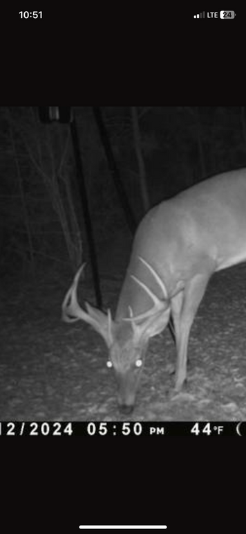 Trail Pic 13