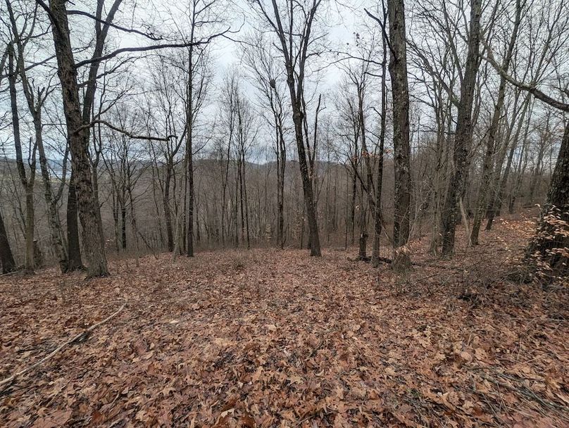 PXL_20260107_183547747.MP