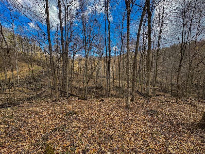 Wirt, WV 156.941 AC Full-16