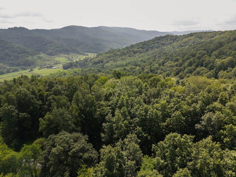 DJI_20250808152116_0008_D