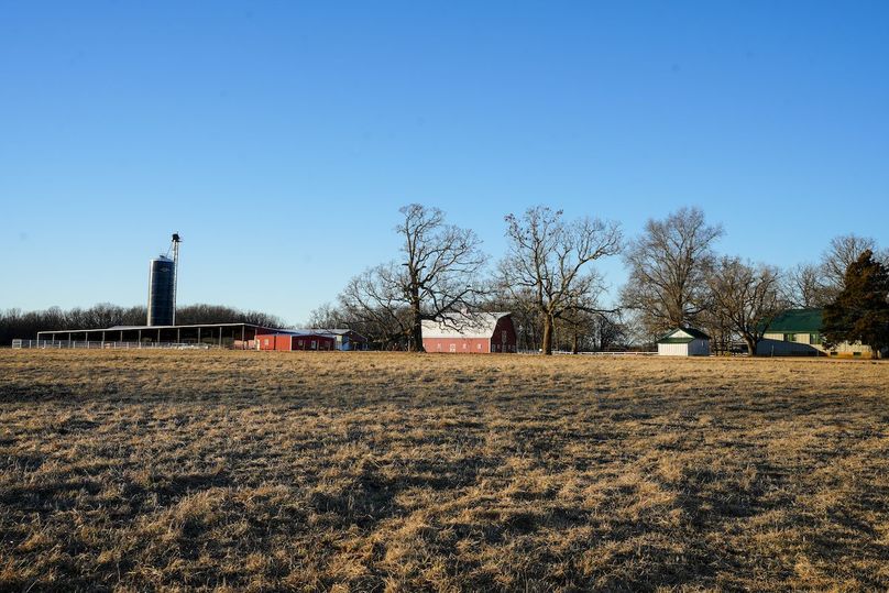 DSC02462bluestem