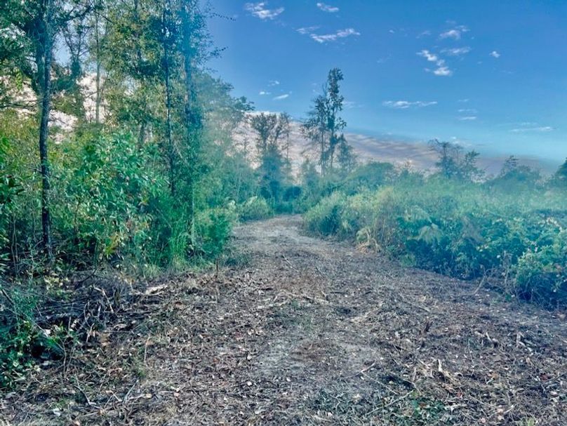 7D9167BB-FB0F-4FFC-9CA7-98247C86CA7F_1_105_c