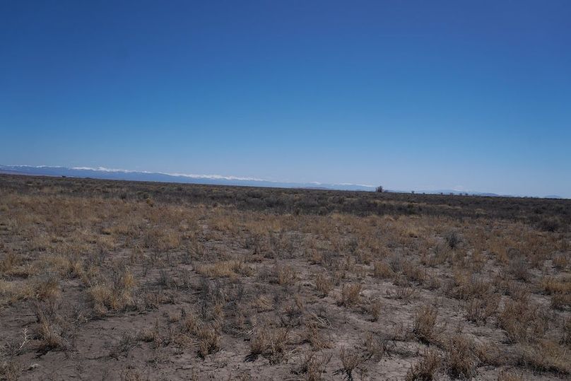 DSC01800