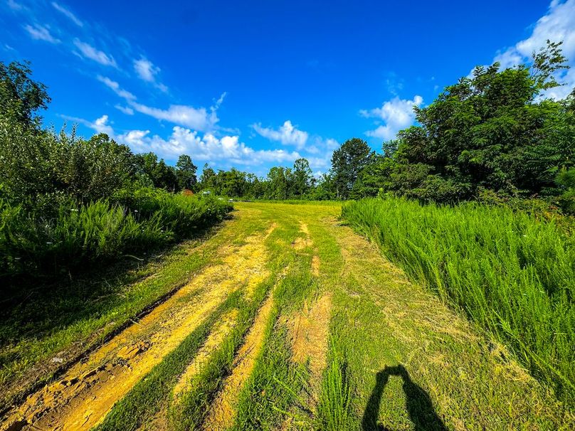 Lewis, WV 82.87 AC Barger-097