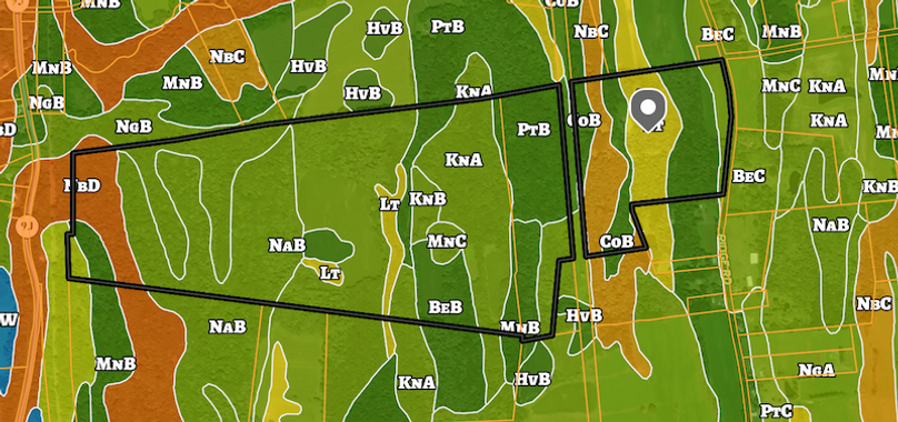 Columbia Co 213.53 Woodbury Farms LLC Soils map