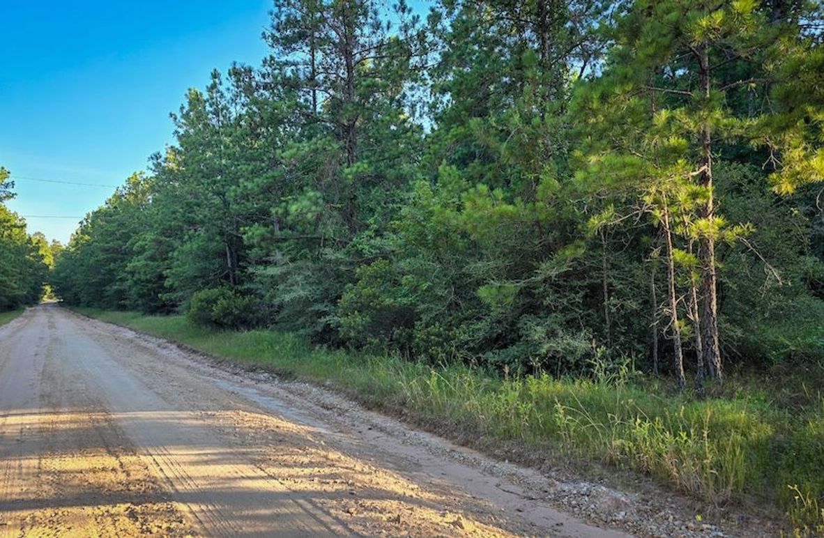 Copy of 20240704_191339