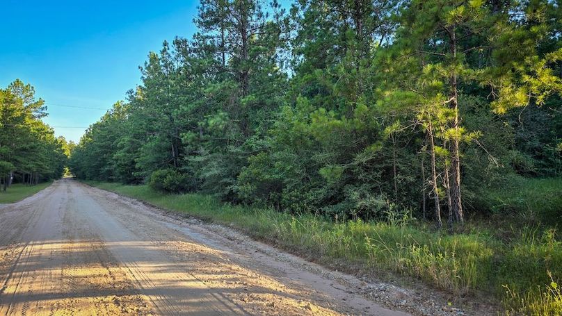 Copy of 20240704_191339